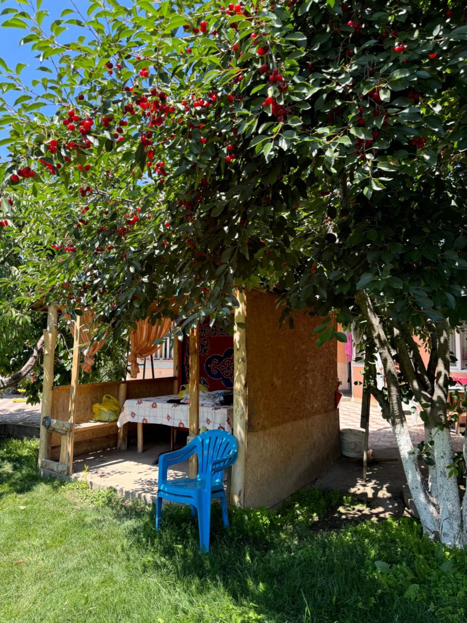 Ak-Keme Hotel Tossor Exterior photo